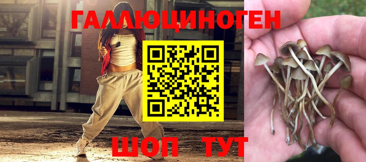 Псилоцибиновые грибы Magic Shrooms Стрежевой